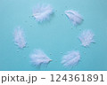 羽の輪 124361891