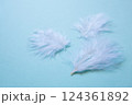 白い羽のアップ 124361892