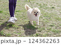 ポメラニアンの散歩_001 124362263