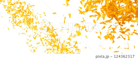 Yellow Marigold petals falling romantic white background isolated with yellow marigold flower petals flying. Religious floral spring season, ritual invitation yellow marigold petals in mid air Yellow Marigold petals falling romantic white background isolated with yellow marigold flower petals flying. Religious floral spring season, ritual invitation yellow marigold petals in mid air 124362317