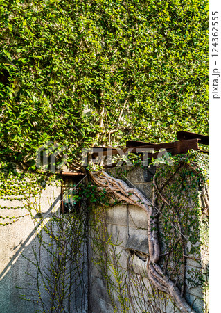 池島2025 廃アパート【長崎市】 池島2025 廃アパート【長崎市】 124362555