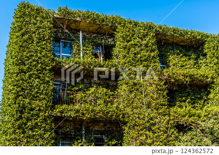 池島2025 廃アパート【長崎市】 池島2025 廃アパート【長崎市】 124362572