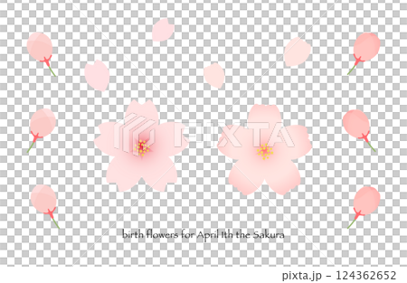 櫻花和芽 124362652