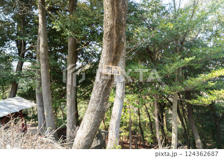 兜山の山頂（滋賀県大津市） 124362687