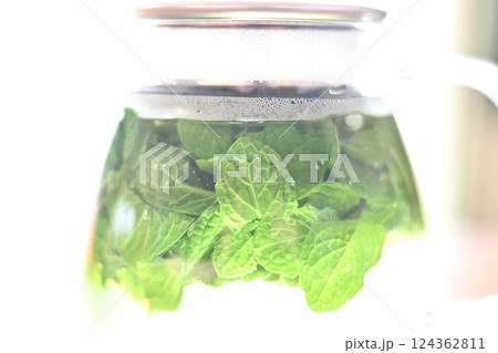 ミントティー 124362811