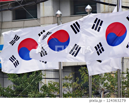 Flag of Korea Fluttering Powerfully, Taegeukgi Flag of Korea Fluttering Powerfully, Taegeukgi 124363279
