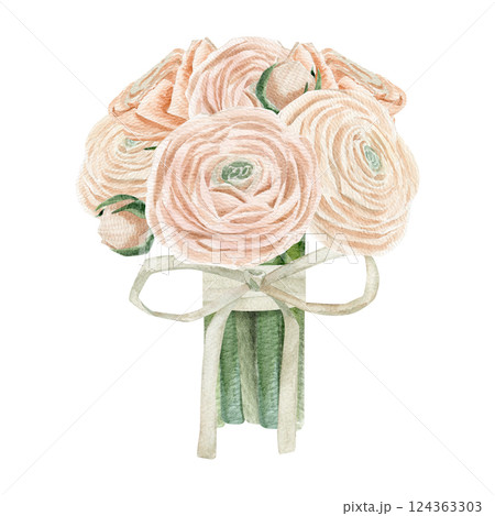 Watercolor hand drawn bouquet with different of peachy pink ranunculus in buds and blossoming flowers tied with a bow 124363303