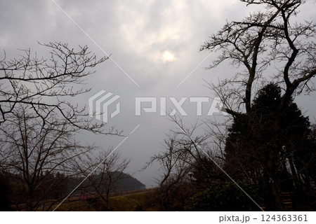 兵庫県丹波市での風景・霧に包まれる 兵庫県丹波市での風景・霧に包まれる 124363361