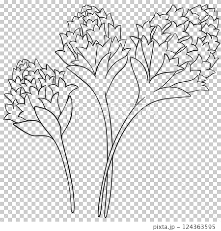 Coloring page Chive blossomss Edible Flowers 124363595