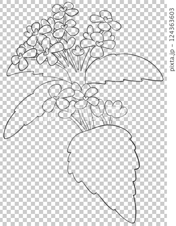 Coloring page Garlic Mustard Flowers Edible Flowers Coloring page Garlic Mustard Flowers Edible Flowers 124363603