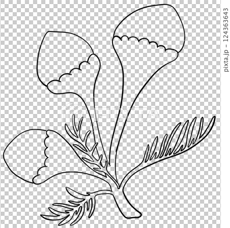 Coloring page Pineapple weed Flowers Edible Flowers 124363643
