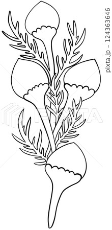 Coloring page Pineapple weed Flowers Edible Flowers Coloring page Pineapple weed Flowers Edible Flowers 124363646