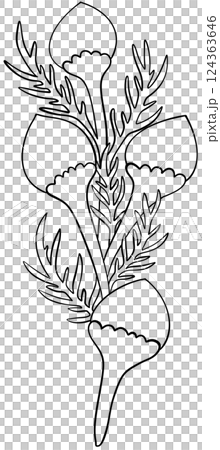 Coloring page Pineapple weed Flowers Edible Flowers Coloring page Pineapple weed Flowers Edible Flowers 124363646