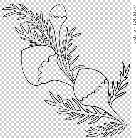 Coloring page Pineapple weed Flowers Edible Flowers Coloring page Pineapple weed Flowers Edible Flowers 124363647