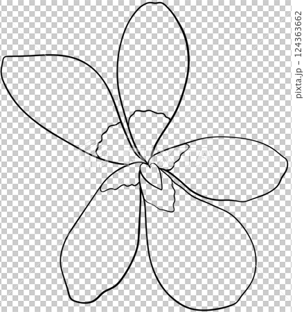Illustration of row of edible viola flowers 124363662