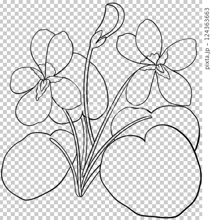 Illustration of row of edible viola flowers Illustration of row of edible viola flowers 124363663