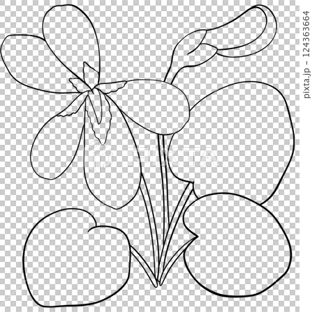 Illustration of row of edible viola flowers 124363664