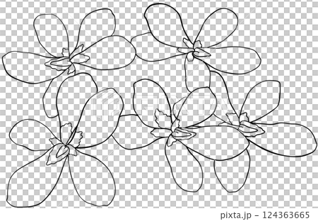 Illustration of row of edible viola flowers Illustration of row of edible viola flowers 124363665