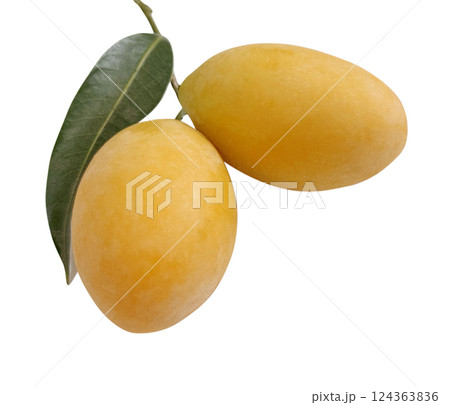 Marian plum or Plum mango fruit isolated on white background with clipping path 124363836