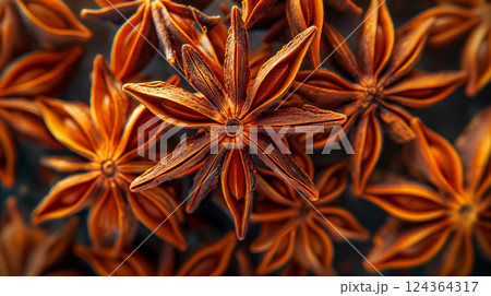 Closeup view of star anise highlighting its unique star shape and texture. Generative AI 124364317