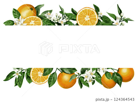frame of oranges. Juicy and orange fruits with orange blossom leaves and flowers. Citrus border. Watercolor illustration. No background.  124364543
