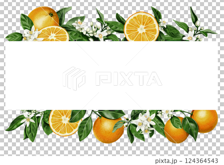 frame of oranges. Juicy and orange fruits with orange blossom leaves and flowers. Citrus border. Watercolor illustration. No background.  124364543