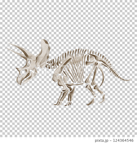 Treceratops dinosaur skeleton. Beige fossil. Bones in monochrome. Museum exhibit. Prehistoric find. Watercolor illustration isolated from background. Hand drawn. High quality illustration Treceratops dinosaur skeleton. Beige fossil. Bones in monochrome. Museum exhibit. Prehistoric find. Watercolor illustration isolated from background. Hand drawn. High quality illustration 124364546