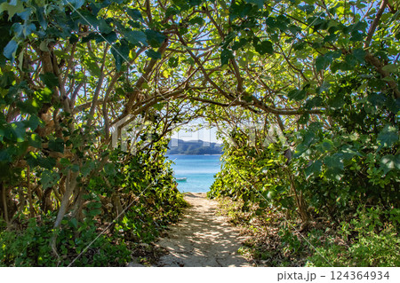 崎原ビーチへ続く道 124364934