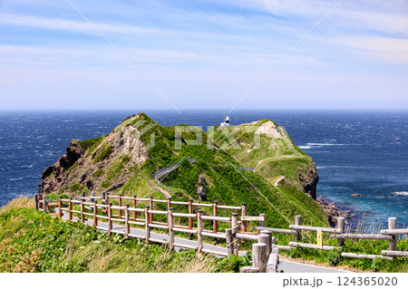 北海道積丹町、神威岬灯台に続く遊歩道【5月】 北海道積丹町、神威岬灯台に続く遊歩道【5月】 124365020