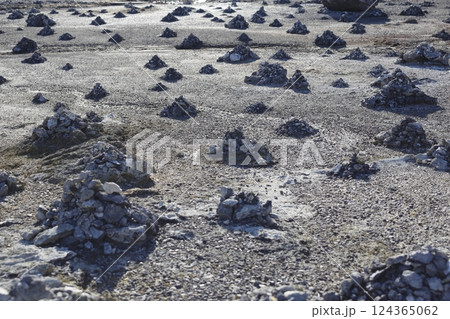 恐山の荒涼とした大地の石積み 124365062