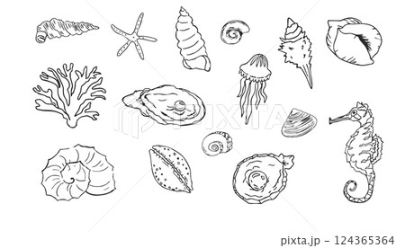 Sea shell sketch ocean life hand drawn illustration. Outline modern style, summer, vacation, beach design elements. Coral and seaweed, starfish line. Sea shell sketch ocean life hand drawn illustration. Outline modern style, summer, vacation, beach design elements. Coral and seaweed, starfish line. 124365364