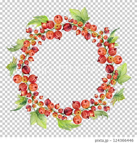 Currant gooseberry with leaves cluster bunch on stem, ripe garden berry casseille juneberry jostaberry, watercolor hand drawn. Isolated wreath frame crown. Home preserves cookbook, grocery food store 124366446