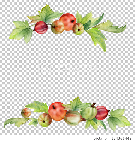 Currant gooseberry leaves heap bunch, ripe garden berry huckleberry juneberry casseille jostaberry. Isolated banner frame hand drawn in watercolor. Vegan grocery shop, cookbook, fresh organic food eco 124366448