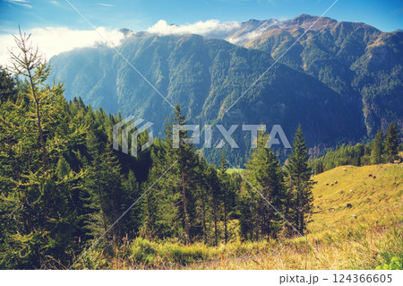 Mountain landscape on a sunny day. View from Grossglockner High Alpine Road. Austria, Europe 124366605
