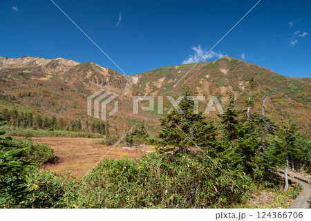 美しい紅葉 栂池高原 美しい紅葉 栂池高原 124366706