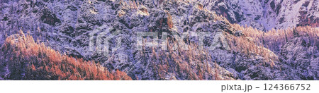 View of snowy mountain slope with trees covered with snow. Nature background. Horizontal banner 124366752