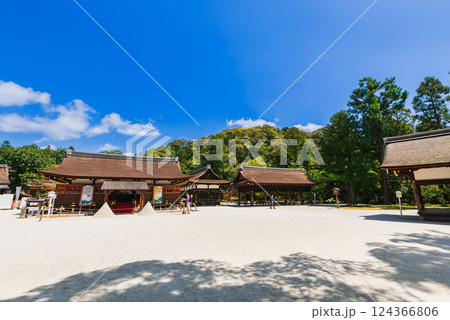 春の京都　上賀茂神社の境内 124366806