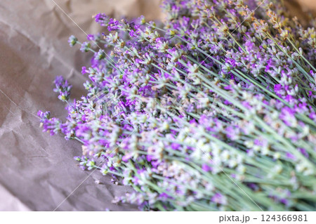 Fresh lavender wrapped in a sheet of paper Fresh lavender wrapped in a sheet of paper 124366981