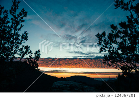 Tranquil Evening Landscape with Silhouetted Trees 124367201