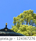 青い空に生える神社と大きな木 124367276