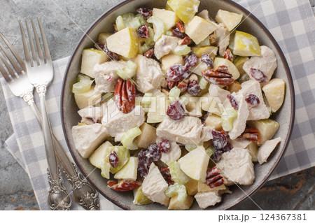 Fruity chicken salad with celery, apple, pecan and dried cranberries close-up in a bowl. Horizontal top view 124367381