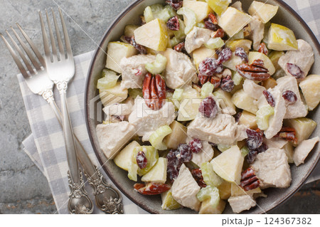 Delicious diet chicken salad with celery, apple, pecan and dried cranberries close-up in a bowl. Horizontal top view Delicious diet chicken salad with celery, apple, pecan and dried cranberries close-up in a bowl. Horizontal top view 124367382