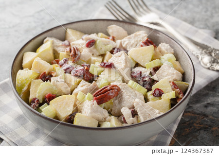 Fruity chicken salad with celery, apple, pecan and dried cranberries close-up in a bowl. Horizontal 124367387