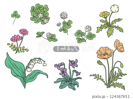 春の花の手書きイラスト 春の花の手書きイラスト 124367651