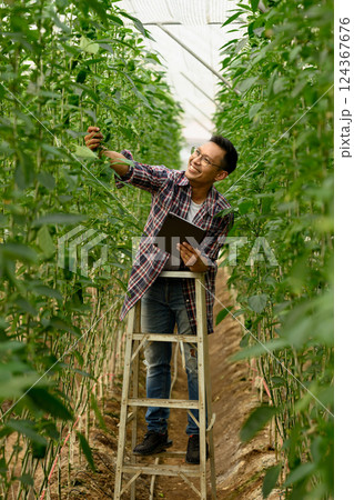 Smiling farmer using a digital tablet while checking the growth of green bell peppers Smiling farmer using a digital tablet while checking the growth of green bell peppers 124367676