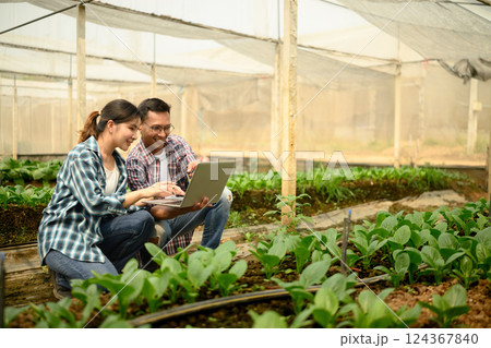 Two farmers inspecting crops and using laptop in a greenhouse 124367840
