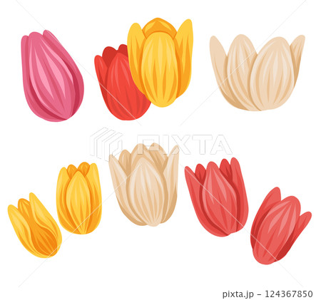 Vector set of clip art colorful flower heads isolated from background. Collection of hand drawn cartoon floral elements 124367850