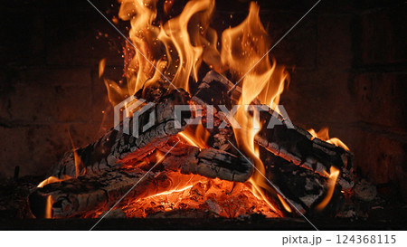 Close-up of Hot Embers with Flying Sparks . Concept of heating Fireplace Close-up of Hot Embers with Flying Sparks . Concept of heating Fireplace 124368115