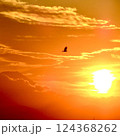夕焼けに染まる空と雲と鳥そして富士 124368262