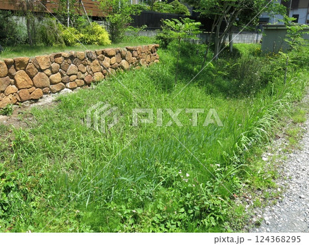 飯能市の中山家範館跡に残る空堀の跡 124368295